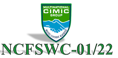Logo ncfswc 2022